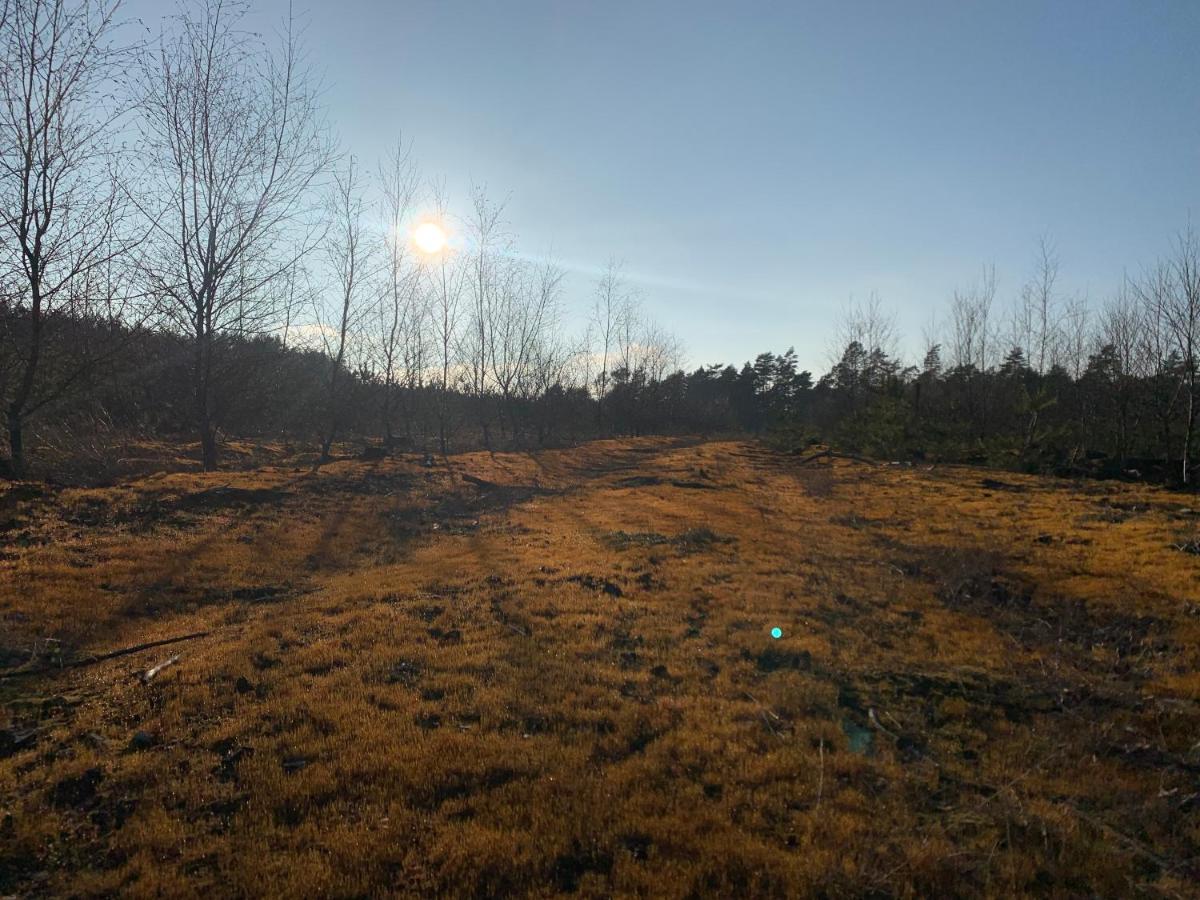 Agroturystyka Gesiniec Stare Osieczno 외부 사진