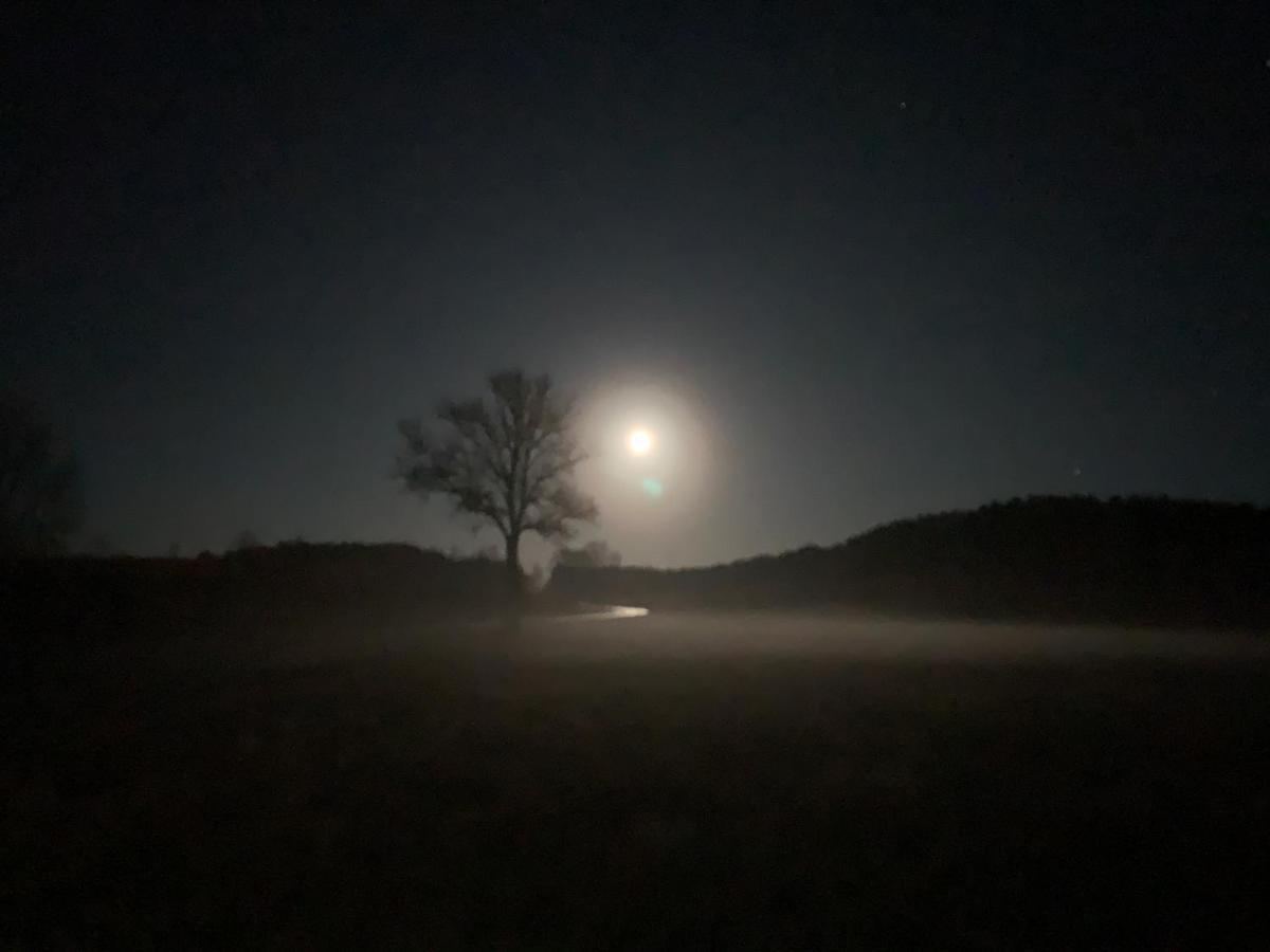 Agroturystyka Gesiniec Stare Osieczno 외부 사진